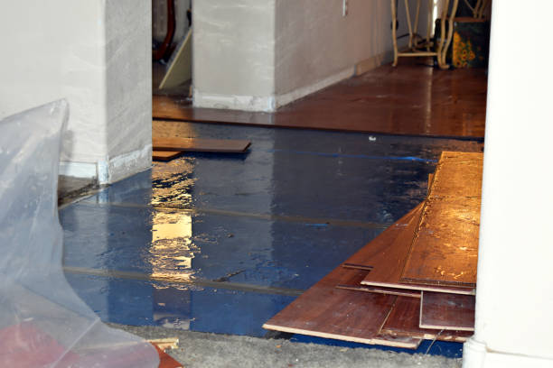 Professional Flood Cleanup technician working in Norton, MA